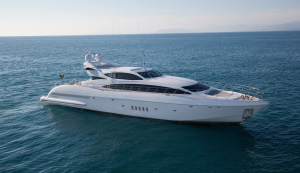 mangusta-22